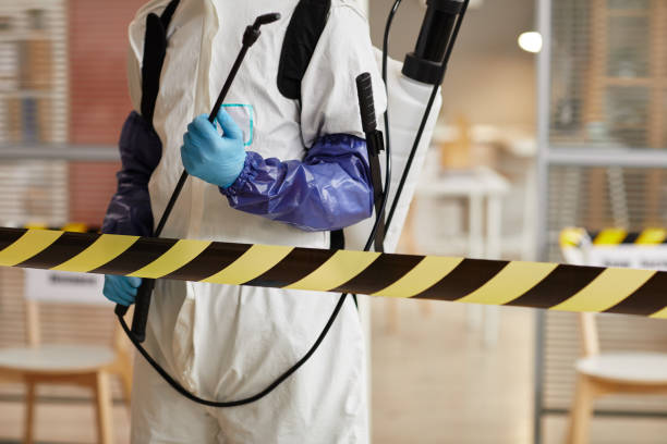 Professional Sewage Cleanup technician working in Wellsville, UT